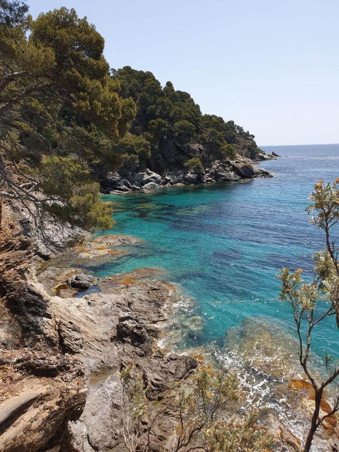 Villa L'Arbanaise Vue Mer Piscine Presqu'Ile Giens By Hc Hyères Esterno foto